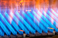Bossiney gas fired boilers